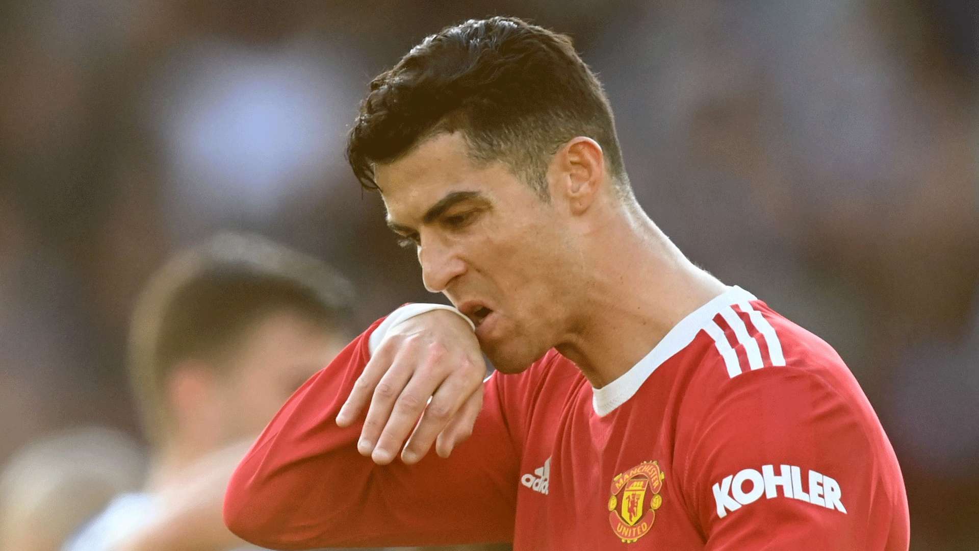 的侵略性帮 的侵略性帮